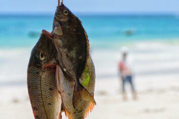 Freshly caught fish held up on a sandy beach, with a person walking in the background