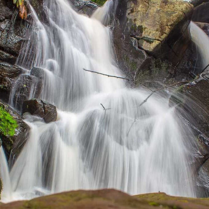 Long-exposure shot of a waterfall cascading over moss-covered rocks surrounded by lush vegetation