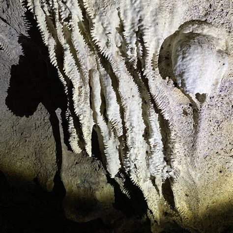 Close-up of jagged limestone cave formations illuminated against dark shadows