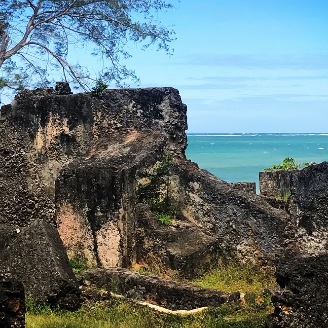 Alt Text: English: "Ancient coral-stone ruins on a tropical coastline, with a wind-swept tree and turquoise ocean in the background