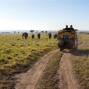 Safari-goers watching a herd of elephants from an open vehicle