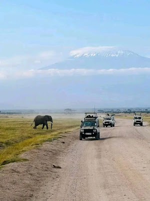 An elephant crosses a dusty road as several safari vehicles approach, set against the impressive snow-capped backdrop of Mount Kilimanjaro.